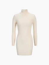 Leisure Turtleneck Long Sleeve Short Sweater Dress